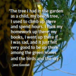 Into the wild met Ian Read. Informatiemiddag 3-2-2019